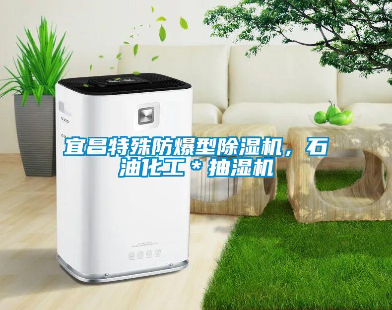 宜昌特殊防爆型除濕機，石油化工＊抽濕機