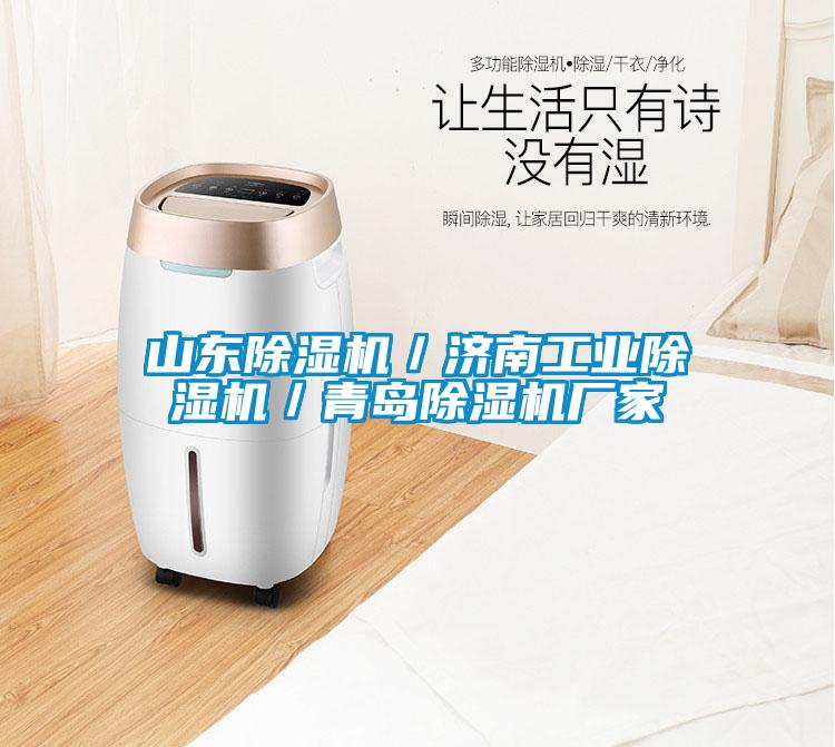山東除濕機／濟南工業除濕機／青島除濕機廠家