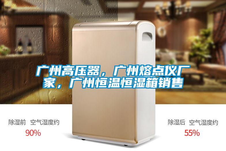 廣州高壓器，廣州熔點(diǎn)儀廠家，廣州恒溫恒濕箱銷售