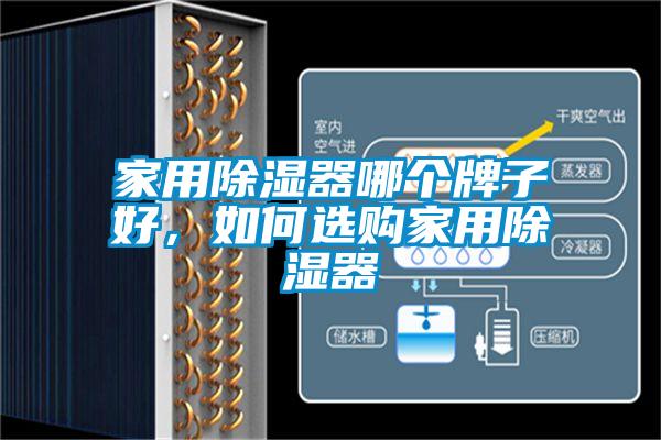 家用除濕器哪個牌子好，如何選購家用除濕器
