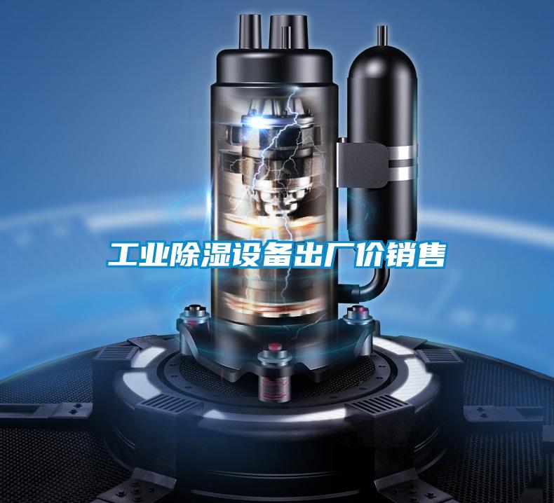 工業(yè)除濕設(shè)備出廠價(jià)銷售