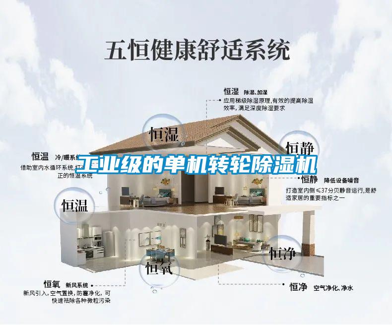工業(yè)級(jí)的單機(jī)轉(zhuǎn)輪除濕機(jī)