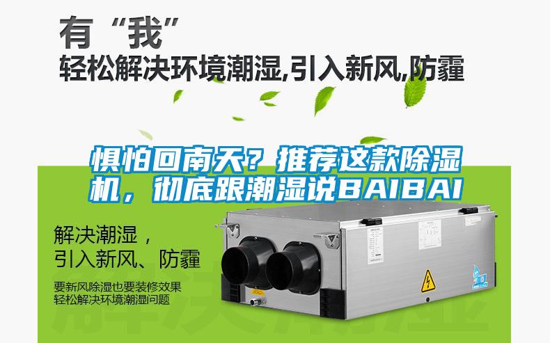 懼怕回南天？推薦這款除濕機，徹底跟潮濕說BAIBAI