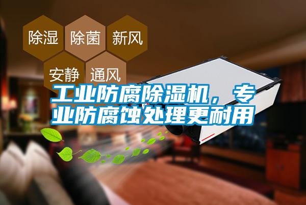 工業(yè)防腐除濕機(jī)，專業(yè)防腐蝕處理更耐用