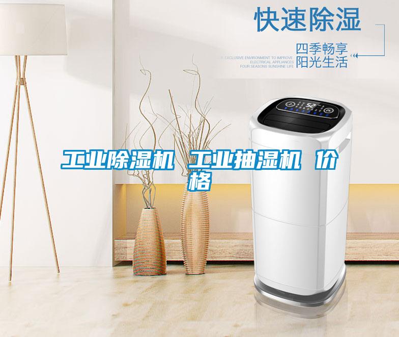 工業(yè)除濕機 工業(yè)抽濕機 價格
