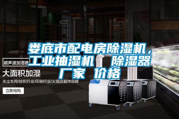 婁底市配電房除濕機(jī)，工業(yè)抽濕機(jī)  除濕器廠家 價格