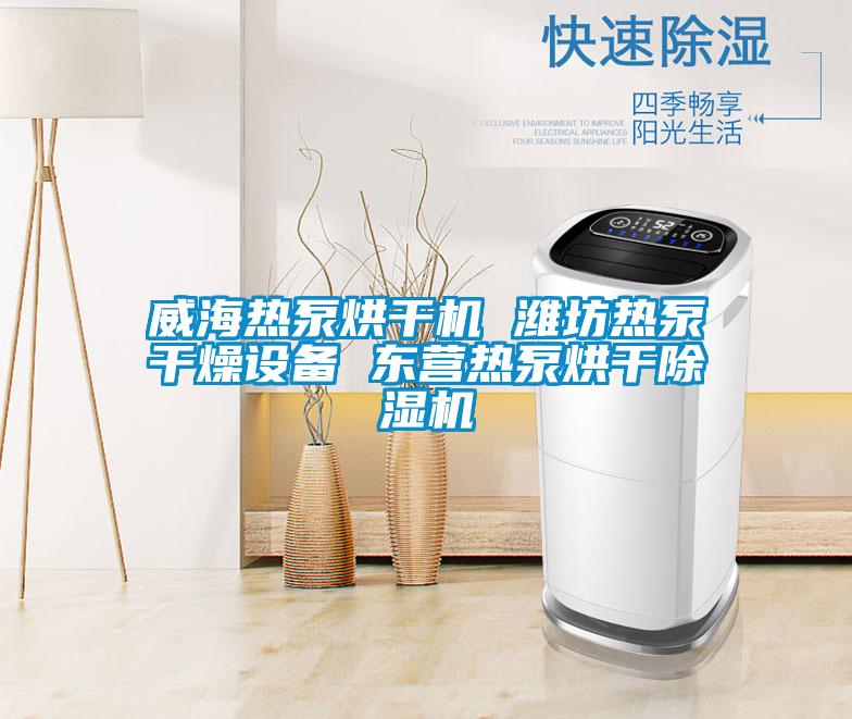 威海熱泵烘干機 濰坊熱泵干燥設(shè)備 東營熱泵烘干除濕機