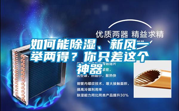 如何能除濕、新風一舉兩得？你只差這個神器
