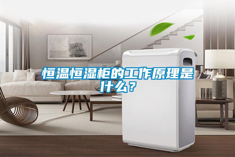 恒溫恒濕柜的工作原理是什么？