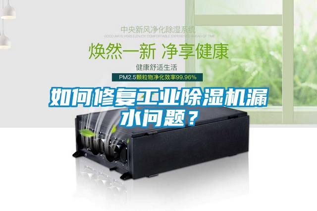 如何修復(fù)工業(yè)除濕機(jī)漏水問題？