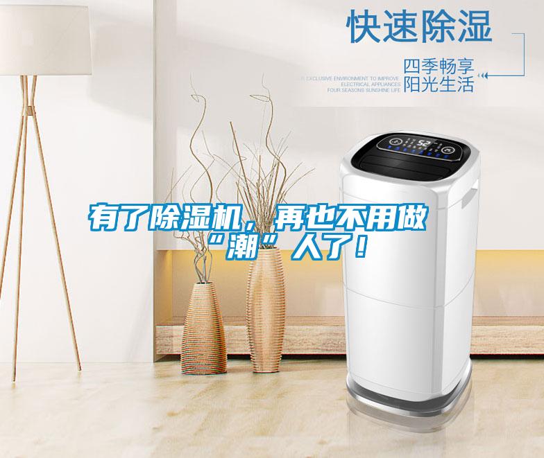 有了除濕機，再也不用做“潮”人了！