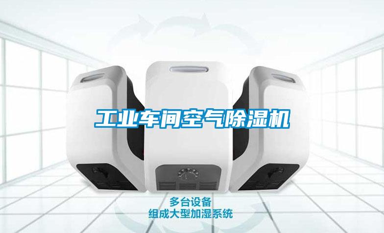 工業(yè)車間空氣除濕機
