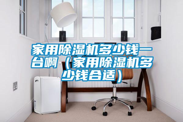 家用除濕機(jī)多少錢一臺啊（家用除濕機(jī)多少錢合適）