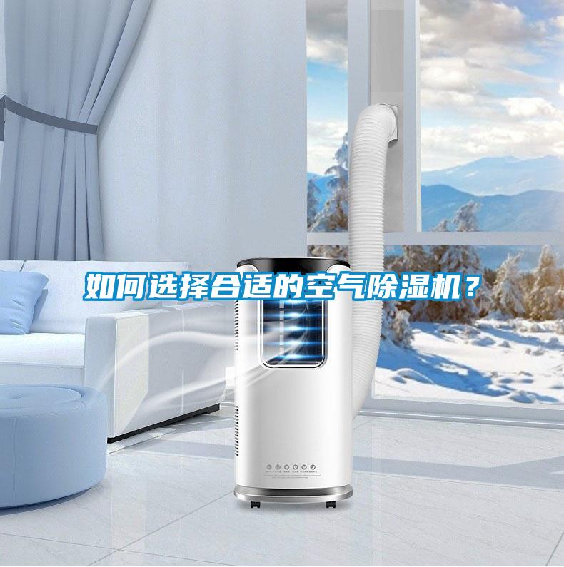 如何選擇合適的空氣除濕機？