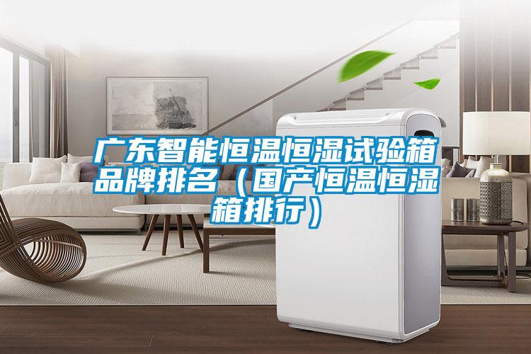 廣東智能恒溫恒濕試驗(yàn)箱品牌排名（國產(chǎn)恒溫恒濕箱排行）