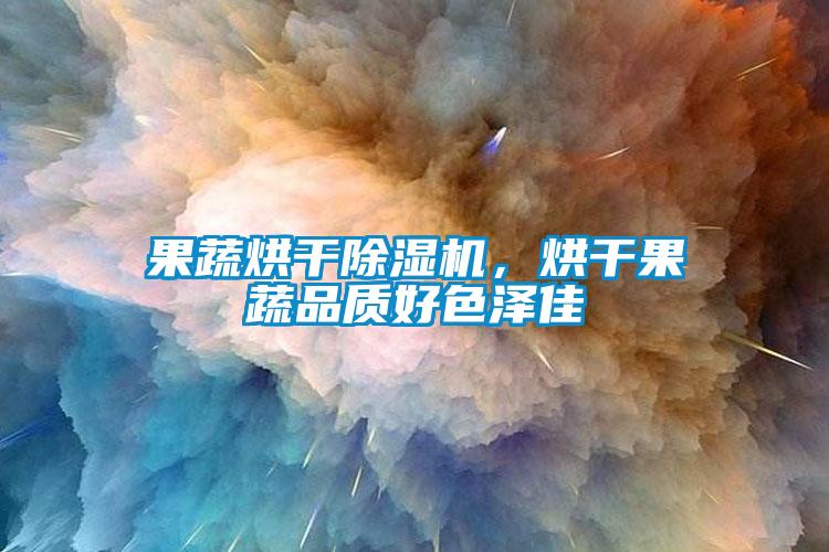 果蔬烘干除濕機，烘干果蔬品質(zhì)好色澤佳