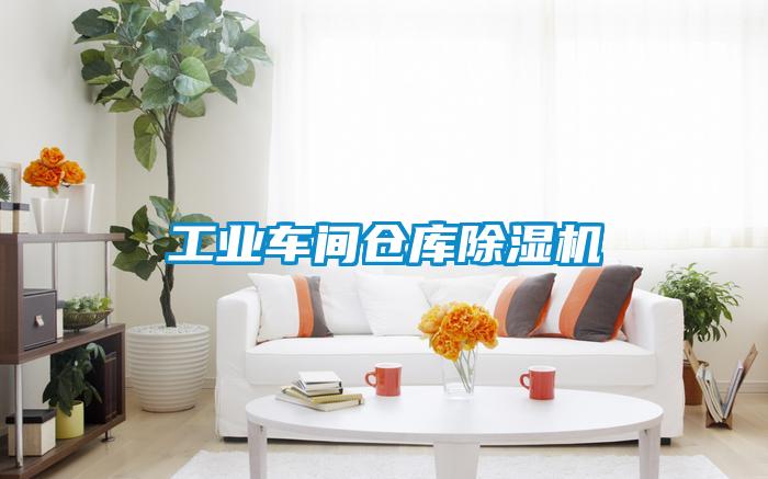 工業(yè)車間倉(cāng)庫(kù)除濕機(jī)