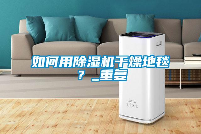如何用除濕機干燥地毯？_重復
