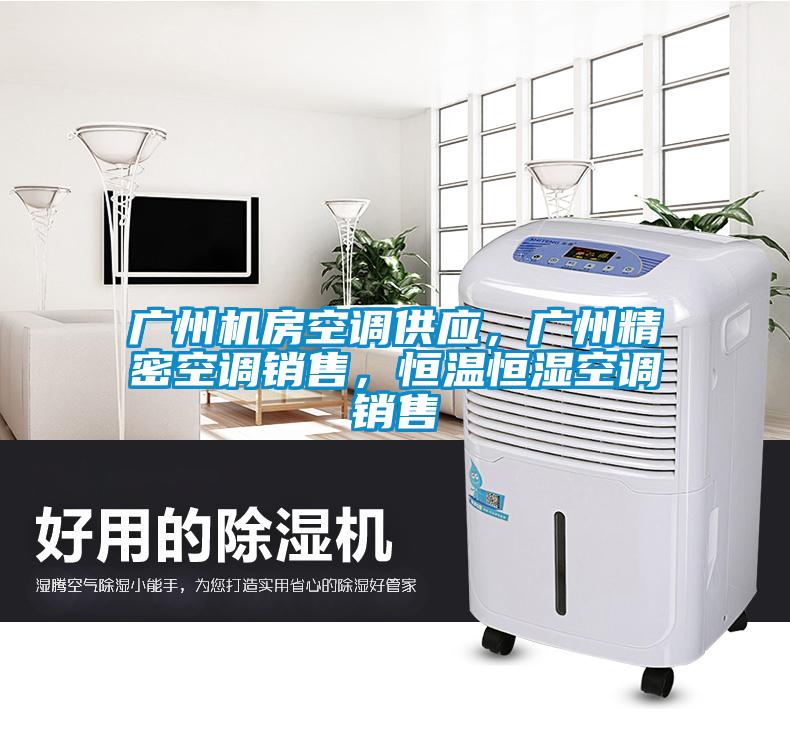 廣州機(jī)房空調(diào)供應(yīng)，廣州精密空調(diào)銷售，恒溫恒濕空調(diào)銷售