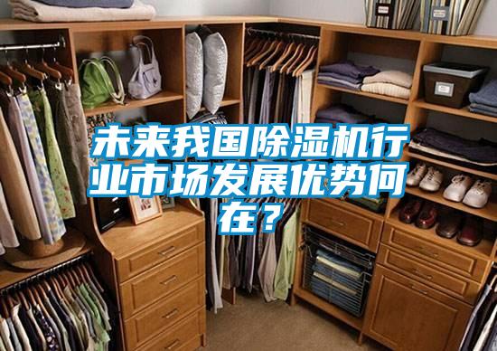 未來我國除濕機行業市場發展優勢何在？