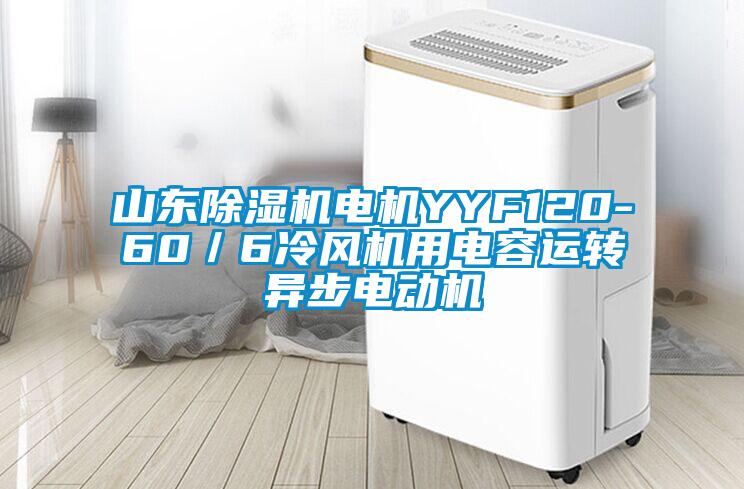 山東除濕機電機YYF120-60／6冷風機用電容運轉異步電動機