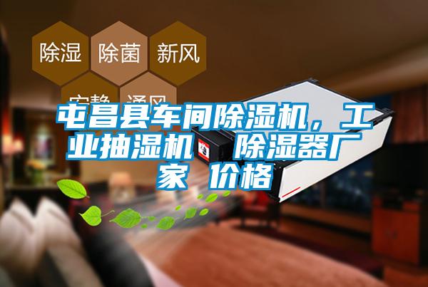 屯昌縣車間除濕機(jī)，工業(yè)抽濕機(jī)  除濕器廠家 價(jià)格