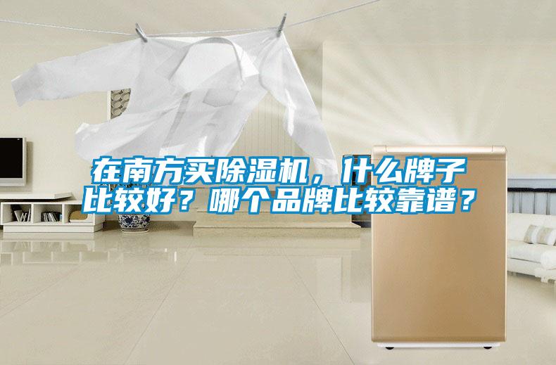 在南方買除濕機(jī)，什么牌子比較好？哪個品牌比較靠譜？