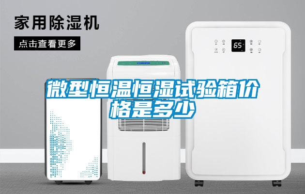 微型恒溫恒濕試驗(yàn)箱價(jià)格是多少