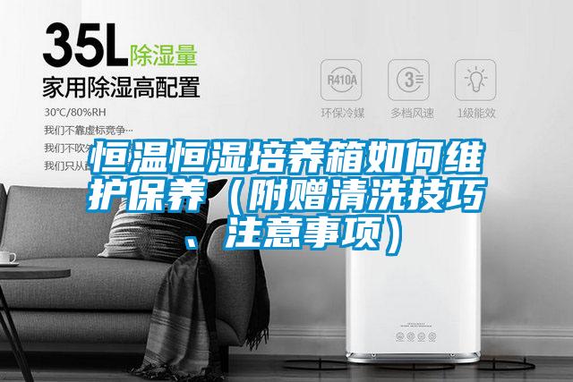 恒溫恒濕培養(yǎng)箱如何維護保養(yǎng)（附贈清洗技巧、注意事項）