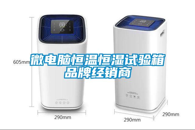 微電腦恒溫恒濕試驗(yàn)箱品牌經(jīng)銷商