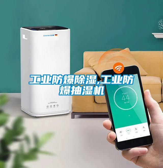 工業防爆除濕,工業防爆抽濕機