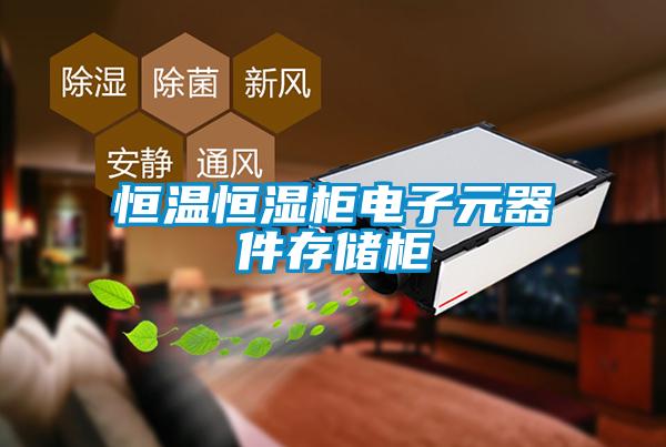 恒溫恒濕柜電子元器件存儲(chǔ)柜