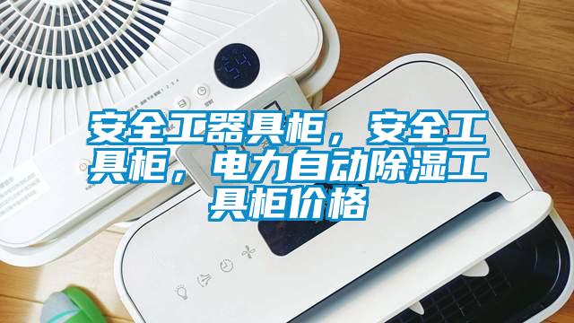 安全工器具柜，安全工具柜，電力自動除濕工具柜價格