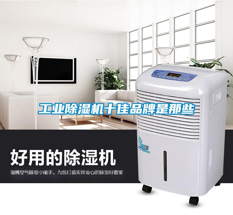 工業(yè)除濕機十佳品牌是那些