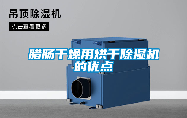 臘腸干燥用烘干除濕機的優(yōu)點