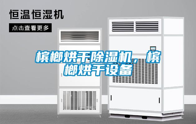 檳榔烘干除濕機，檳榔烘干設備