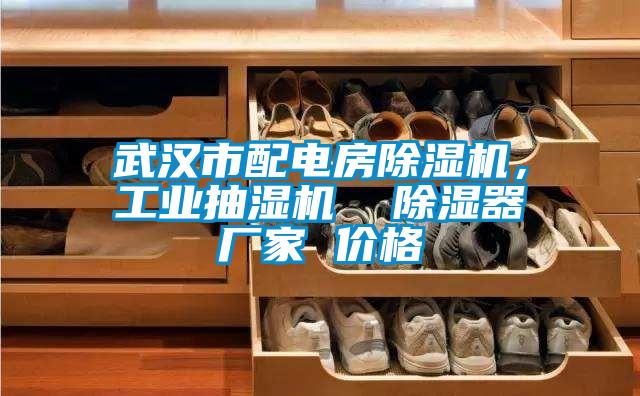 武漢市配電房除濕機，工業(yè)抽濕機  除濕器廠家 價格