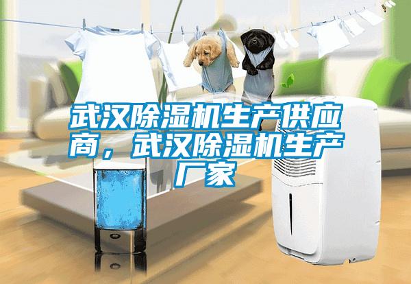 武漢除濕機生產供應商，武漢除濕機生產廠家