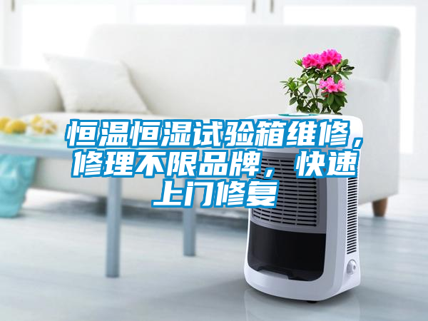 恒溫恒濕試驗(yàn)箱維修，修理不限品牌，快速上門修復(fù)
