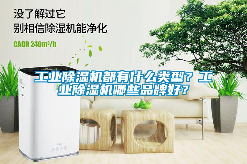 工業除濕機都有什么類型？工業除濕機哪些品牌好？
