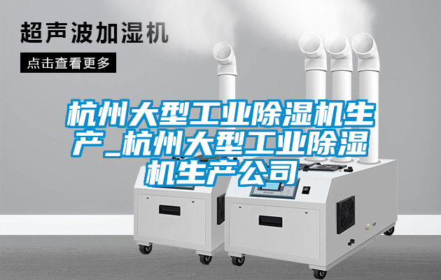 杭州大型工業(yè)除濕機(jī)生產(chǎn)_杭州大型工業(yè)除濕機(jī)生產(chǎn)公司