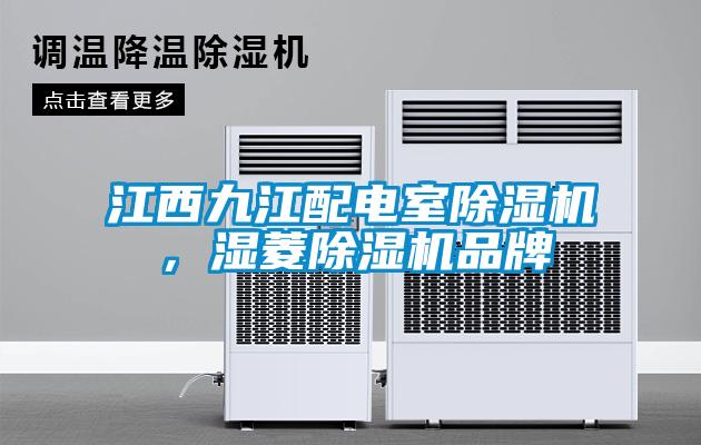 江西九江配電室除濕機，濕菱除濕機品牌