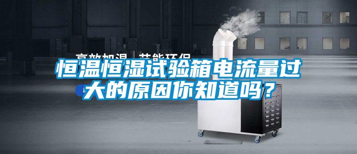 恒溫恒濕試驗箱電流量過大的原因你知道嗎？