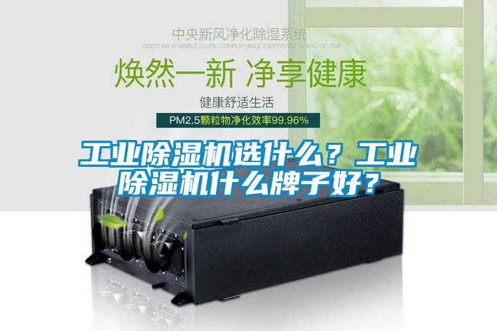 工業(yè)除濕機(jī)選什么？工業(yè)除濕機(jī)什么牌子好？