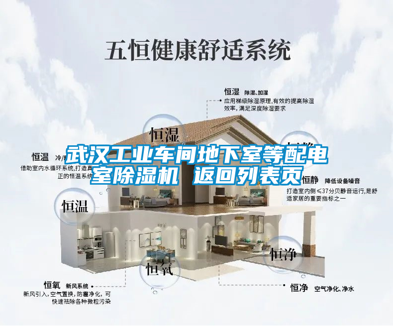 武漢工業(yè)車間地下室等配電室除濕機(jī) 返回列表頁(yè)