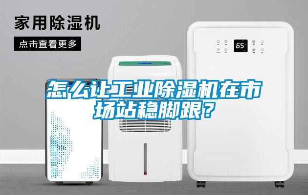 怎么讓工業除濕機在市場站穩腳跟？