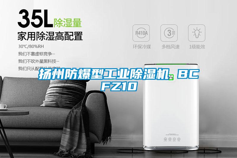 揚州防爆型工業除濕機 BCFZ10