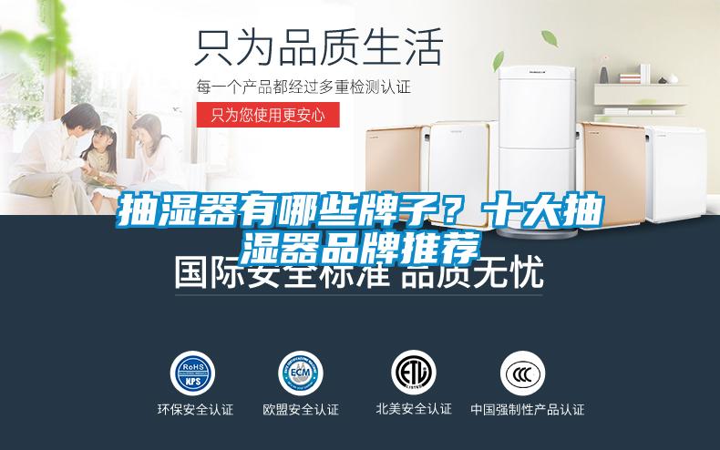 抽濕器有哪些牌子？十大抽濕器品牌推薦