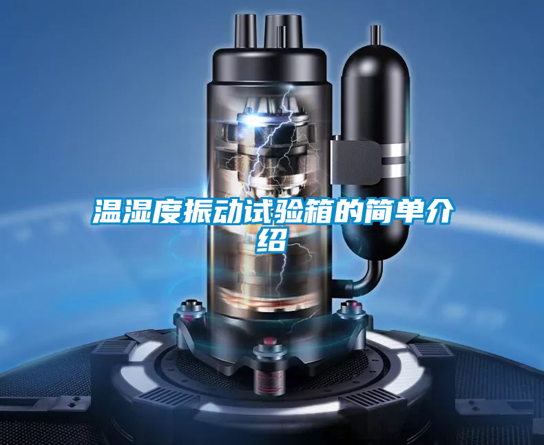 溫濕度振動(dòng)試驗(yàn)箱的簡單介紹