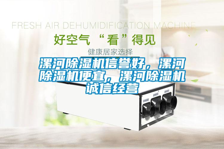 漯河除濕機信譽好，漯河除濕機便宜，漯河除濕機誠信經(jīng)營